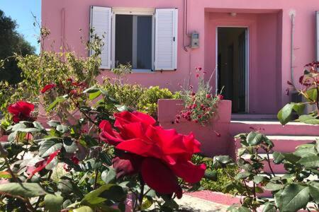 Pink House Villa Pesadha Exterior photo