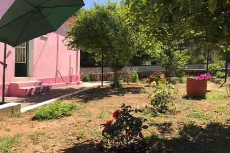 Pink House Villa Pesadha Exterior photo