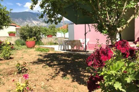 Pink House Villa Pesadha Exterior photo